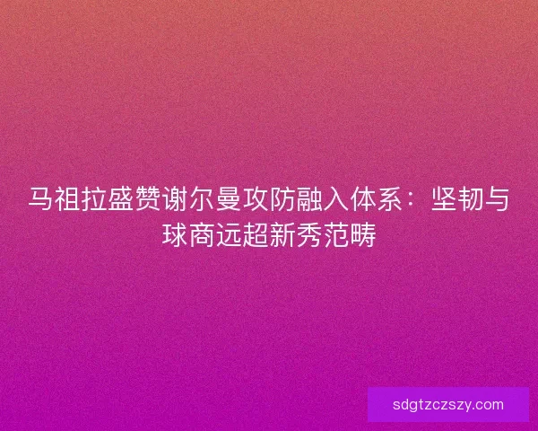 马祖拉盛赞谢尔曼攻防融入体系：坚韧与球商远超新秀范畴
