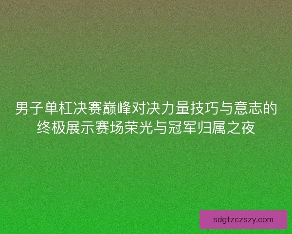 男子单杠决赛巅峰对决力量技巧与意志的终极展示赛场荣光与冠军归属之夜 男子单杠决赛巅峰对决力量技巧与意志的终极展示赛场荣光与冠军归属之夜