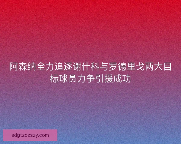阿森纳全力追逐谢什科与罗德里戈两大目标球员力争引援成功