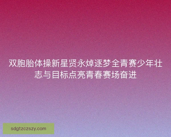 双胞胎体操新星贤永焯逐梦全青赛少年壮志与目标点亮青春赛场奋进 双胞胎体操新星贤永焯逐梦全青赛少年壮志与目标点亮青春赛场奋进