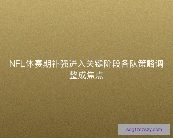 NFL休赛期补强进入关键阶段各队策略调整成焦点 NFL休赛期补强进入关键阶段各队策略调整成焦点