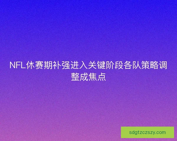 NFL休赛期补强进入关键阶段各队策略调整成焦点 NFL休赛期补强进入关键阶段各队策略调整成焦点